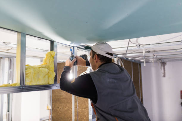 Best Blown-in Insulation in Adelino, NM