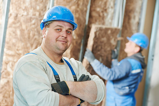 Best Geographic-Specific Insulation Services in Adelino, NM