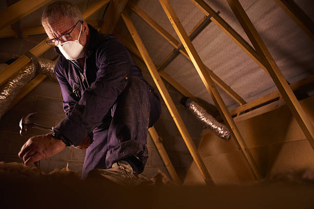 Best Commercial Insulation in Adelino, NM